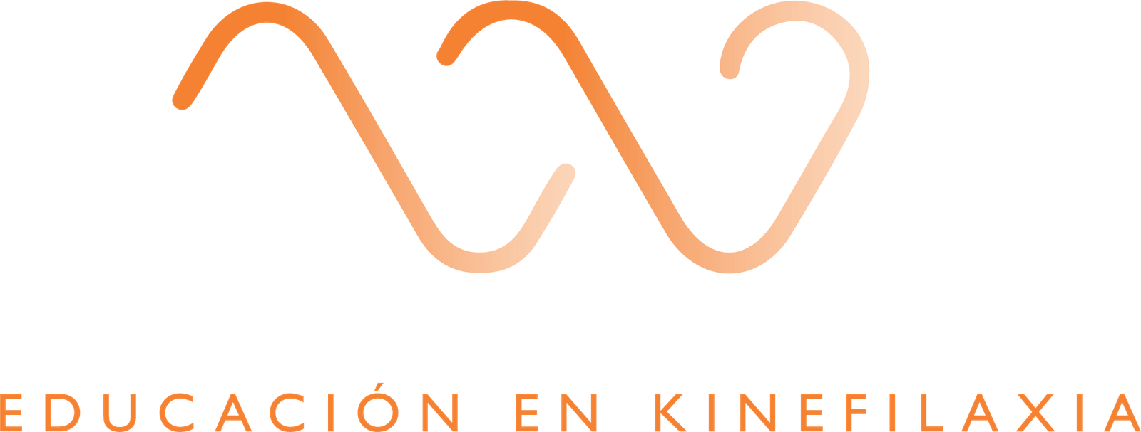 Educación en Kinefilaxia
